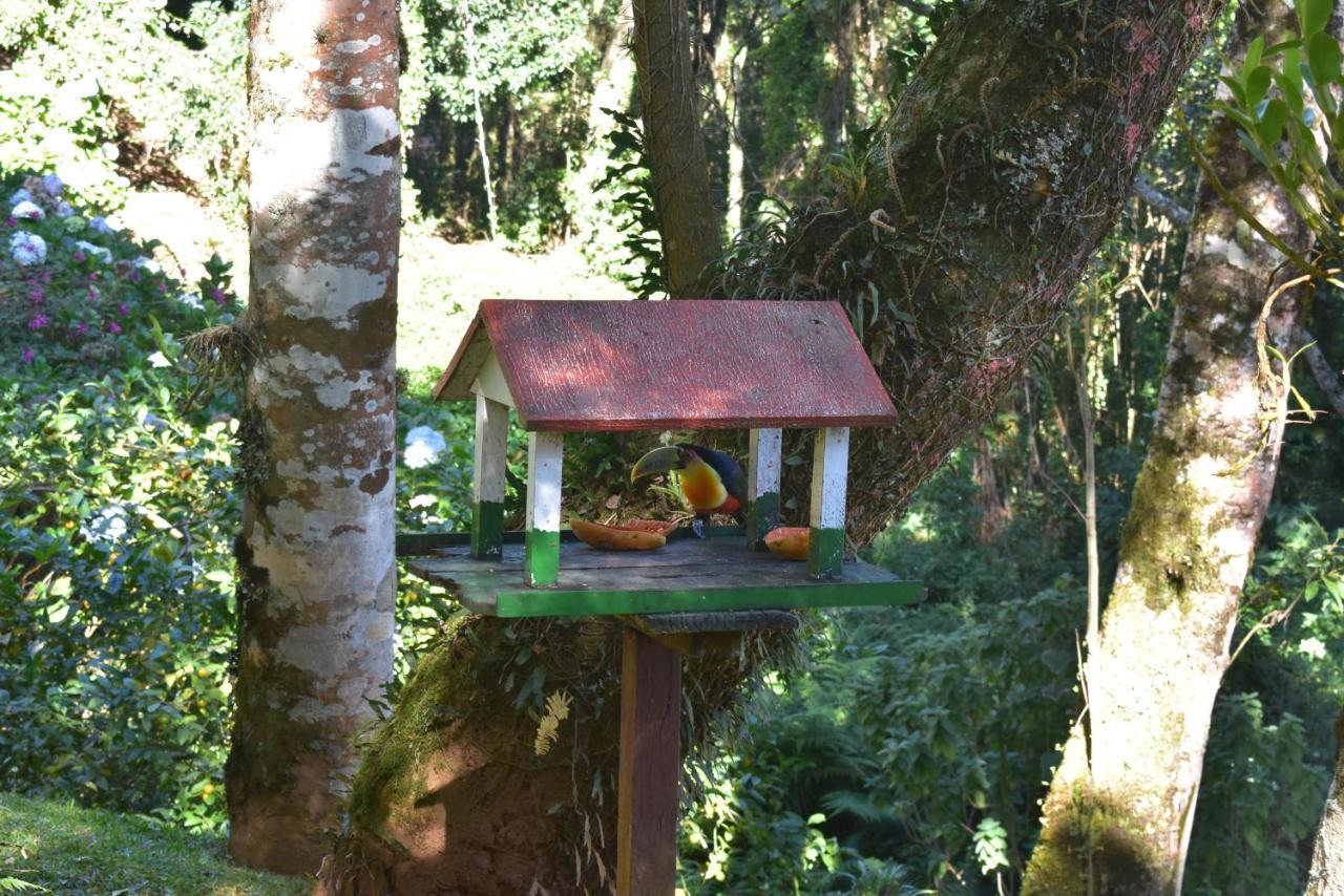 Pousada Amanita Monte Verde Monte Verde  Esterno foto